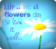 LFL - life is like a flowers day