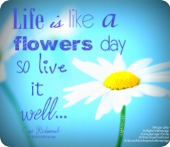 LFL - life is like a flowers day